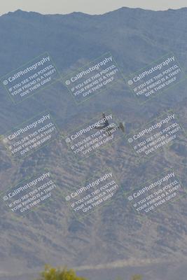 media/Apr-12-2025-Race Pace (Sat) [[9230add55f]]/Vested/6-Turn 4 Tree of Life (115pm)/